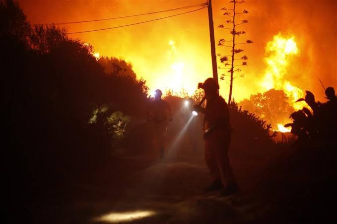 Val de incendii de pădure în Spania: costurile de stingere ajung la 3,275 miliarde de euro / depositphotos