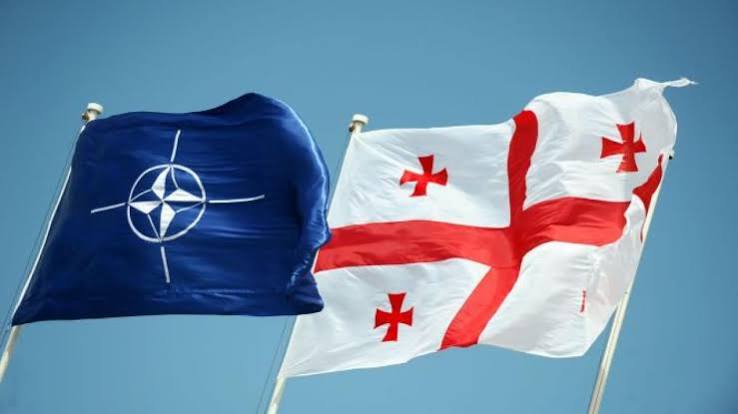 Izolare diplomatică: Georgia, pentru prima dată, nu a fost inclusă în lista partenerilor la Summitul NATO / depositphotos