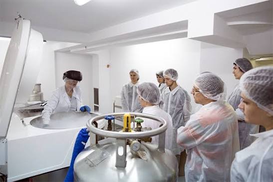 Descoperire medicală: Banca de Celule Stem Regina Maria devine prima din România autorizată să producă terapii avansate / depositphotos