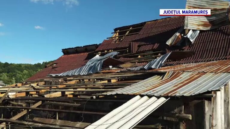 Furtuni puternice și vânt violent în România: acoperișuri smulse, copaci doborâți și clădiri avariate / depositphotos