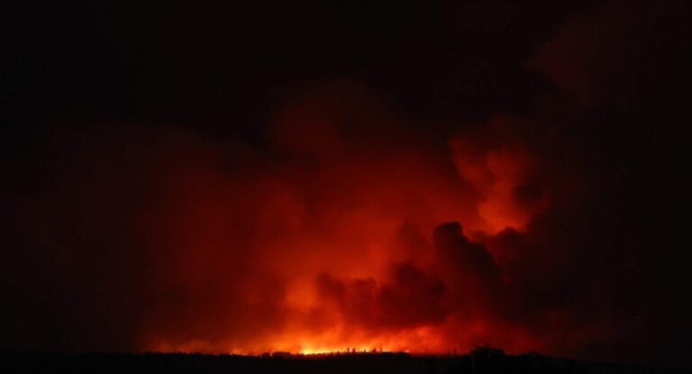 Belgia se confruntă cu cel mai mare incendiu de pădure din istoria recentă și cere ajutorul Europei / depositphotos