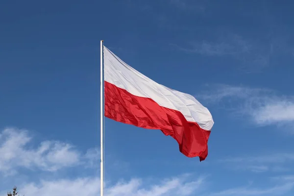 Polonia reduce taxele pentru clasa de mijloc și le majorează pentru cele mai mari companii / depositphotos
