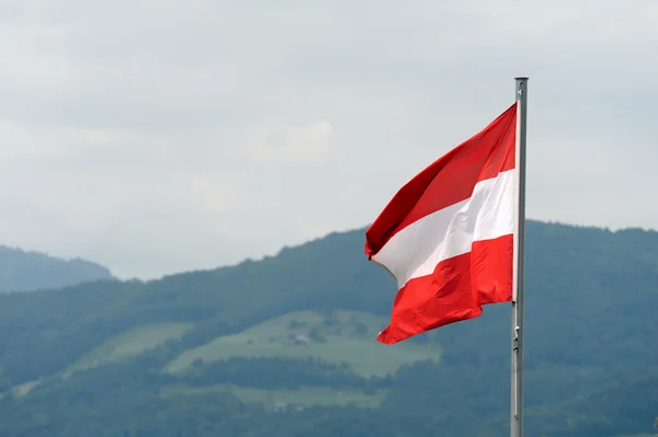Austria a descoperit o schemă de eludare a sancțiunilor prin care tehnologia europeană ajungea în industria rusă de apărare / depositphotos
