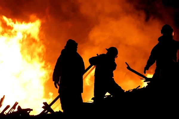 Incendiul forestier de amploare din Grecia continuă: autoritățile au evacuat mai multe localități, iar două persoane au fost arestate / depositphotos