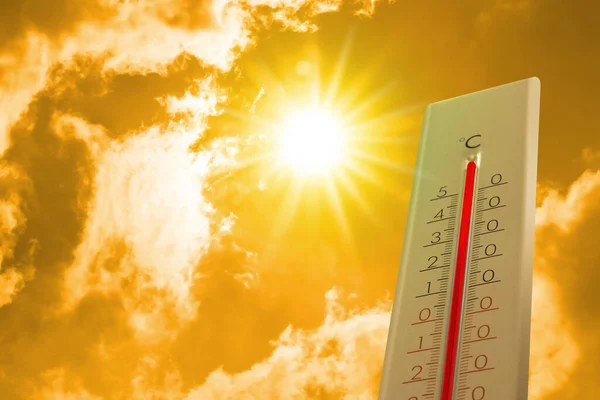 ANM avertizează asupra intensificării caniculei în România: temperaturile vor urca până la 39 de grade / depositphotos