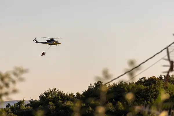 Două elicoptere s-au ciocnit în timpul stingerii unui incendiu forestier în Grecia: doi pompieri au murit / depositphotos