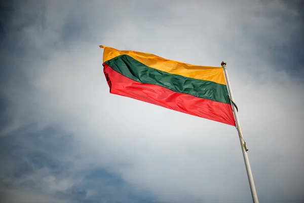Lituania construiește un nou poligon militar pentru trupele NATO în apropierea graniței cu Belarus / depositphotos