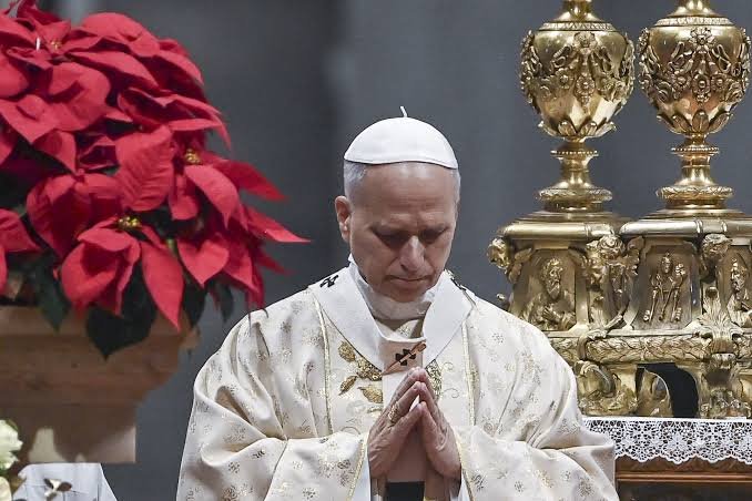 Papa Leon al XIV-lea a făcut apel la dialog în locul conflictului și i-a numit pe tinerii catolici un semn al speranței / depositphotos