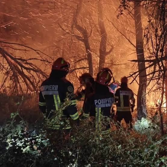 Pompierii români luptă cu un incendiu major în Franța: flăcările amenință locuințe din apropierea localității Correns / depositphotos