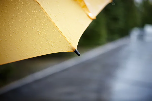 În București se răcește brusc: meteorologii prognozează ploi și intensificări ale vântului / depositphotos