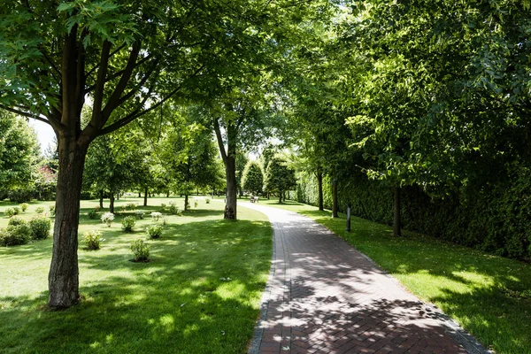 Parcul Plumbuita din București va fi modernizat cu 92,5 milioane de lei: când încep lucrările și ce se va schimba / depositphotos