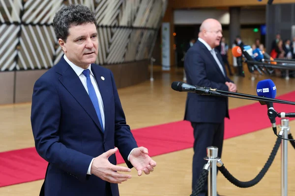 Nicușor Dan: „Spațiul public este plin de defetiști și demagogi”. Apelul președintelui la un „naționalism sănătos” / depositphotos