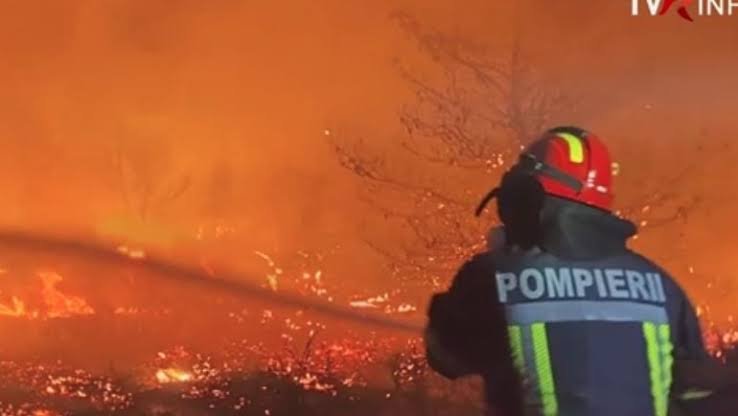 Pompierii români îi ajută pe colegii bulgari să stingă incendiile de pe insula Boril / depositphotos
