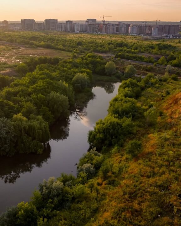 Bucureștiul a înființat o nouă arie naturală protejată, cu o suprafață de 5,2 hectare / Asociația Parcul Natural București