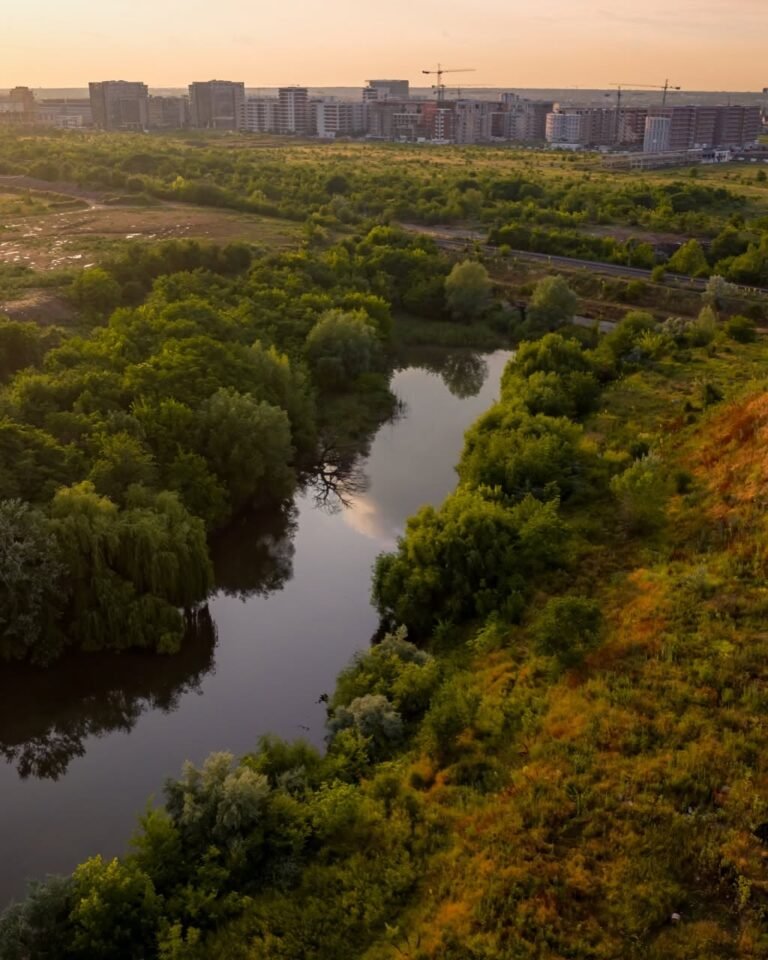Bucureștiul a înființat o nouă arie naturală protejată, cu o suprafață de 5,2 hectare / Asociația Parcul Natural București