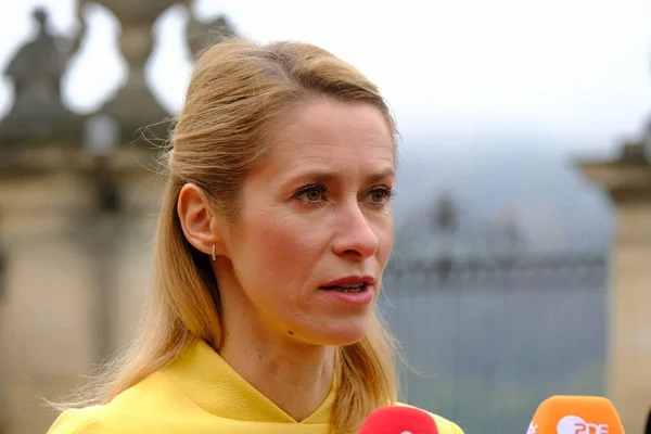 Kaja Kallas i-a acuzat pe negociatorii americani că fac presiuni asupra Ucrainei pentru a capitula în fața lui Putin / depositphotos