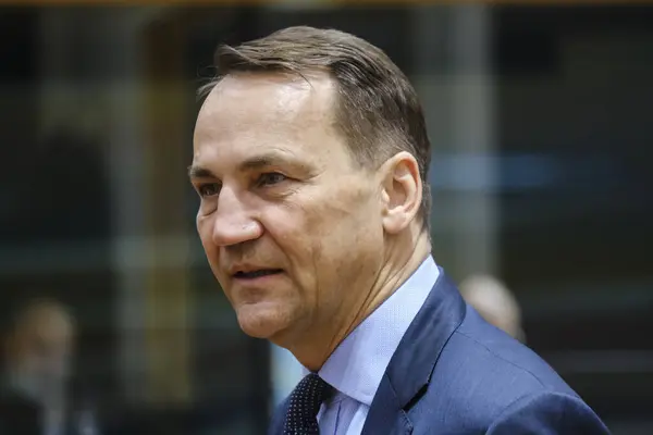 Polonia cere NATO să pregătească un răspuns la un atac hibrid mortal al Rusiei / depositphotos