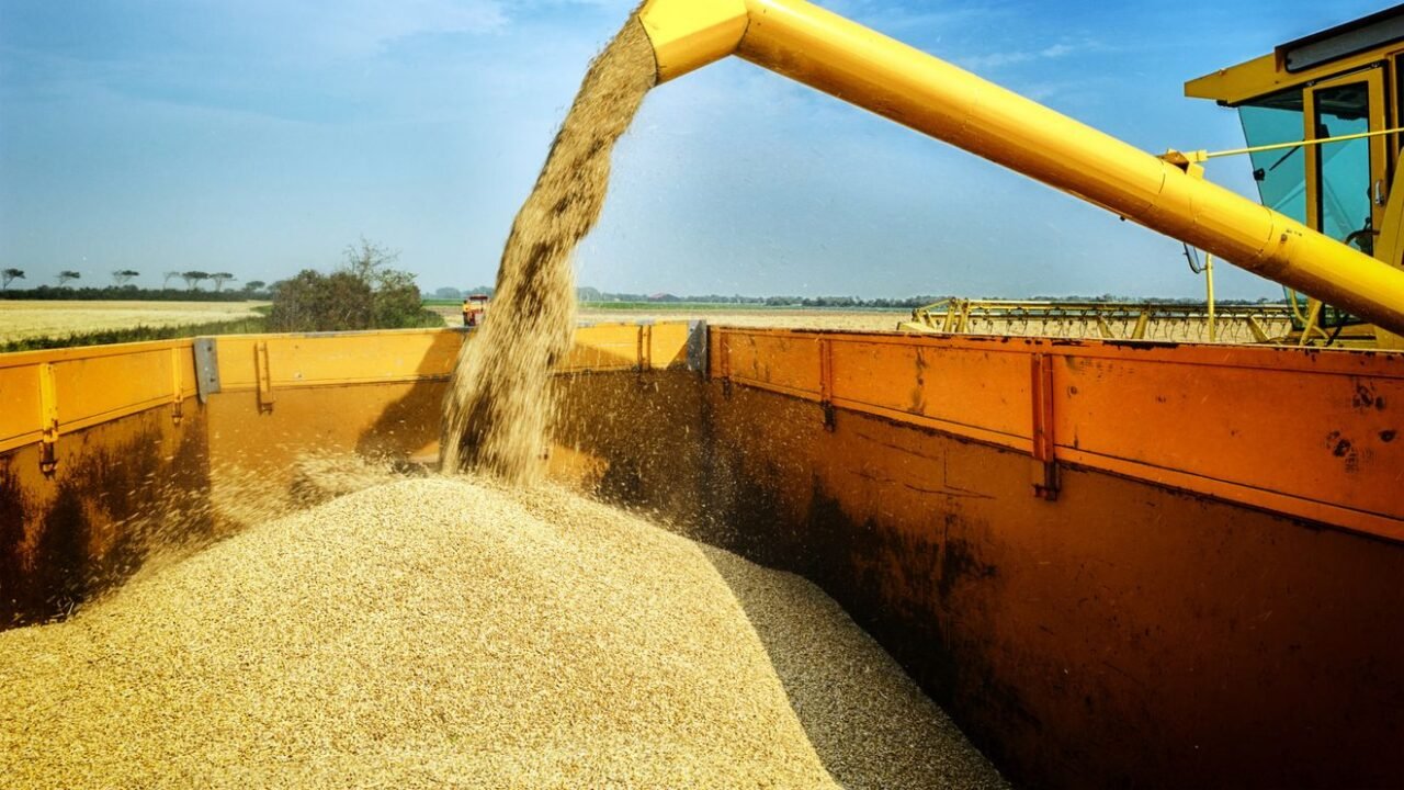 Zelenski le-a cerut țărilor vecine, inclusiv României, să permită tranzitul cerealelor ucrainene / depositphotos