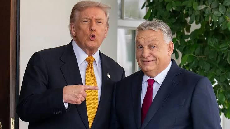 Trump ar vrea să-l propună pe Orbán pentru funcția de secretar general al ONU. Tusk doar râde / depositphotos